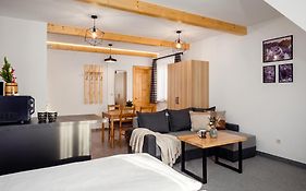 Golden Apartments - Villa Taternik - Mountain View